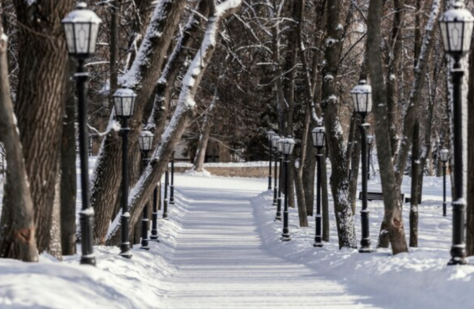 В первый рабочий день 2024 года в Петербурге потеплеет до +2 градусов 